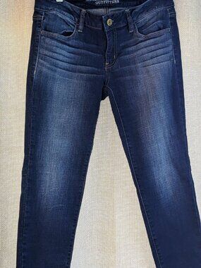 American Eagle Outfitters, Dark Wash Jegging 4 Pocket Blue Denim Jeans, Size 8 S